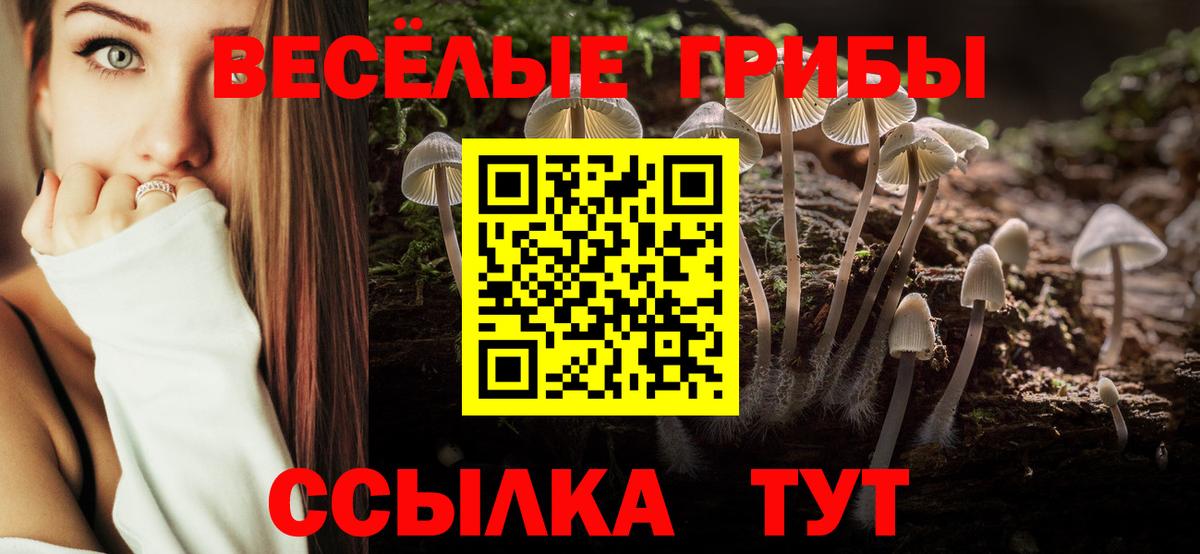 Бахчисарай  Галлюциногенные грибы Psilocybine cubensis  Вход с VPN 